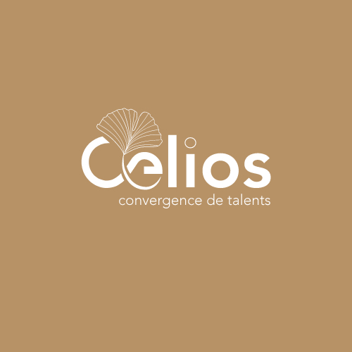 Refonte de l’identité du groupe Celios